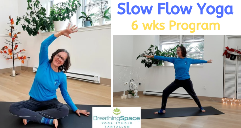 slow_flow_yoga.png